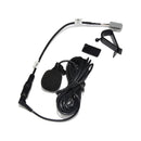 Dasaita External Microphone with adapter